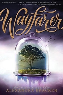 Wayfarer (Passenger 2) by Alexandra Bracken