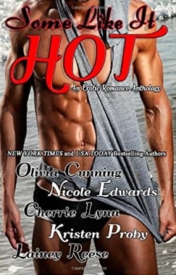 Some Like It Hot: An Erotic Romance Anthology by Olivia Cunning