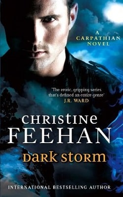 Dark Storm (Dark 23) by Christine Feehan