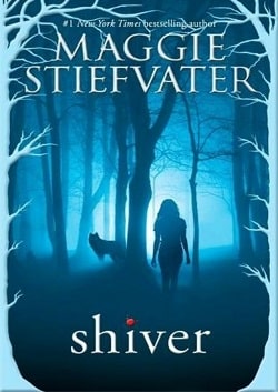 Shiver (The Wolves of Mercy Falls 1) by Maggie Stiefvater