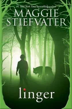 Linger (The Wolves of Mercy Falls 2) by Maggie Stiefvater