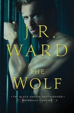 The Wolf (Black Dagger Brotherhood - Prison Camp 2) by J.R. Ward