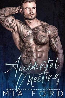 Accidental Meeting (Accidental Hook-Up 3) by Mia Ford