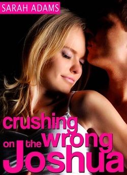 Crushing On The Wrong Joshua (Crushing on You 3) by Sarah Adams