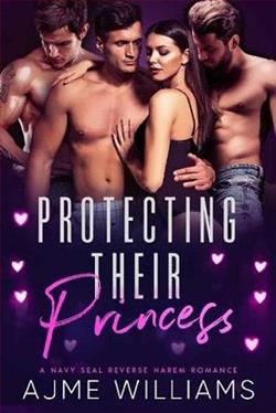 Protecting Their Princess by Ajme Williams