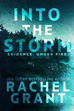 Into the Storm by Rachel Grant