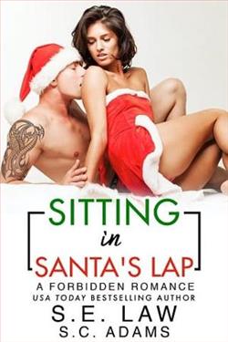 Sitting in Santa's Lap (Forbidden Fantasies 65) by S.E. Law