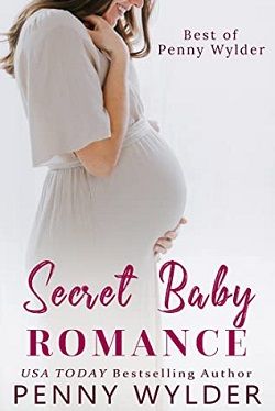 Secret Baby Romance by Penny Wylder