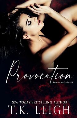 Provocation (Temptation 3) by T.K. Leigh