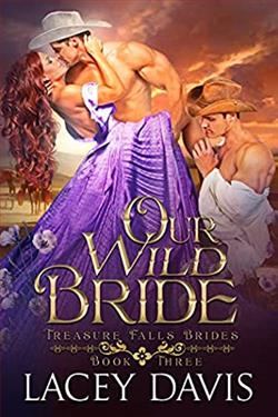 Our Wild Bride (Treasure Falls Brides 3) by Lacey Davis